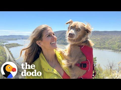 Rescue Dog And Her Mom Love Hiking Together  #Video
