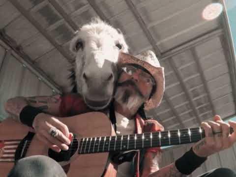 One magical donkey named Hazel #Video