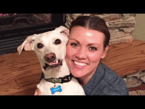 Minnesota woman adopts abused dog from Alabama. Now he's obsessed with snow. #Video