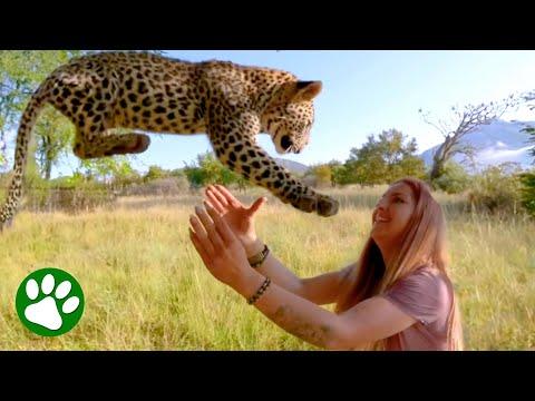 Young Girl Left Everything To Become Wildlife Mom #Video