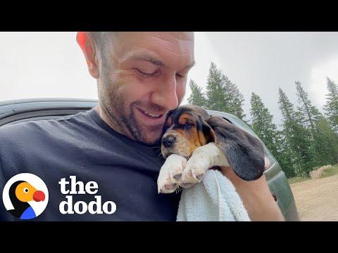 Guy Adopts Puppy Who Wouldn't Stop Crying And Gives Her A Bath #Video