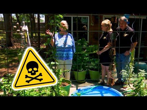 The Poison Plant Lady (Texas Country Reporter) #Video