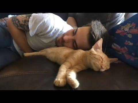 When Your Cat and You Share Every Milestone Together #Video