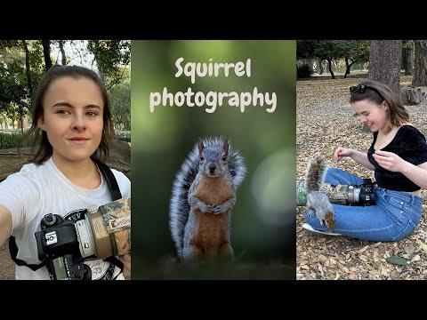 How to Photograph City Squirrels.  MY TOP TIPS! Mexico City #Video