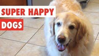 Super Happy Dogs | Funny Dog Video Compilation 2017