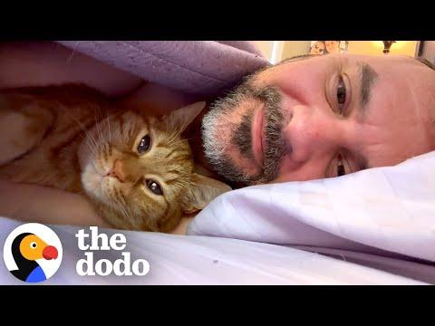 Velcro Cat is Obsessed With His Dad #Video