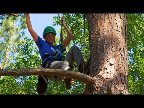 The Tree Climber (Texas Country Reporter) #Video