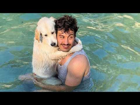 When Your Puppy Thinks Dad Is the Better Choice for Playtime #Video
