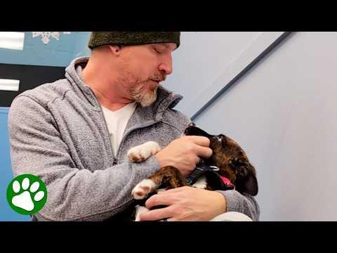 Dog-Loving Husband Cries the Entire Way to the Animal Shelter #Video