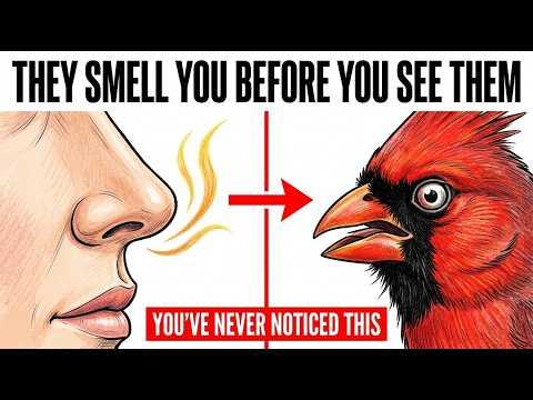 What Birds Do the Second They Smell You — You've Never Noticed This #Video