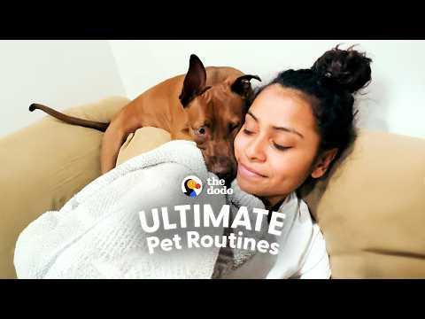 Pittie Taught Her Mom To Take Care Of Her Mental Health #Video