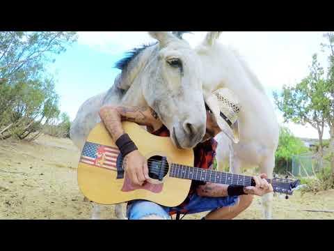 Trying to sing to Hazel the donkey #Video