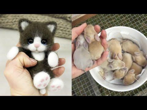 Cute baby animals Videos Compilation cute moment of the animals - Cutest Animals #17
