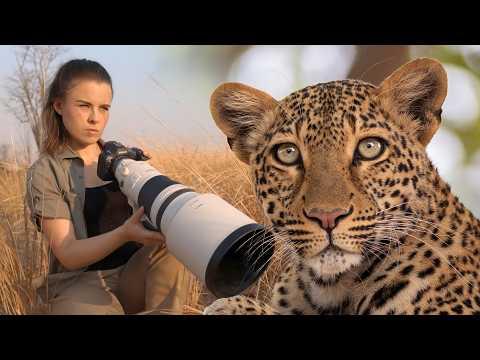 ON SAFARI: In the Valley of the Leopards | Dani Connor Wild #Video
