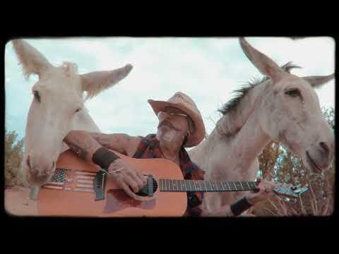 Two best friends listening to live music. Hazel & Heaven the donkey #Video