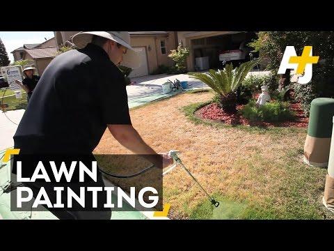 Drought Hack: Paint Your Lawn Green...