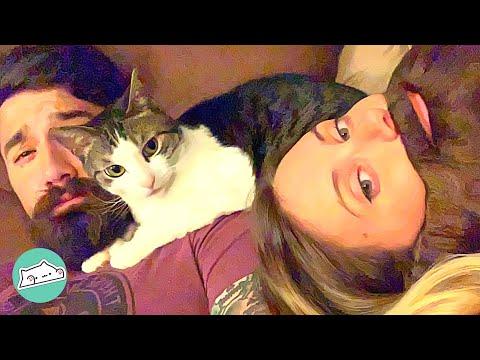 Cat Loves Dad Over Mom. She Did THIS to Like Her #Video