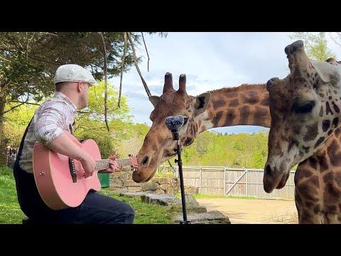 Singing for Animals compilation | Part 2 #Video
