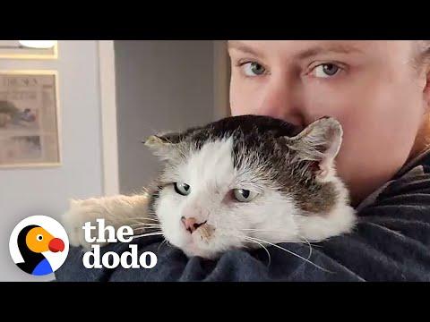 This Cat Was Left Behind When His Owner Moved Away #Video