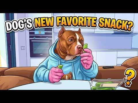 Choco tries mini cucumbers for the first time #Video