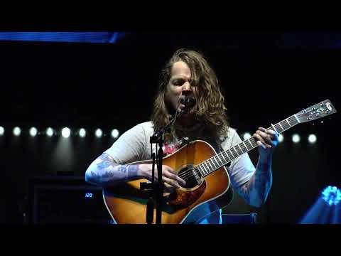 Billy Strings crushes Delmore Brothers' 'Browns Ferry Blues' 7/23/23 #Video