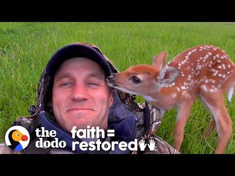Injured Fawn Deer In Rocky Mountains Gets Adopted. honeysada
