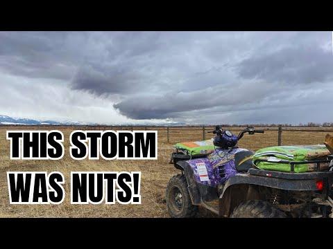 Seeding the Horse Pasture in a Blizzard - I made a small miscalculation - The Clever Cowgirl #Video