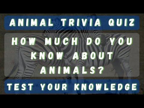 How much do yo know about animals? Animal Trivia quiz with Answers #Video