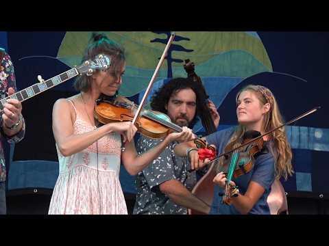 Tony Trischka, Brittany Haas, Katie Loomis-Adams 'Fox Chase' Green Mountain 2026 #Video
