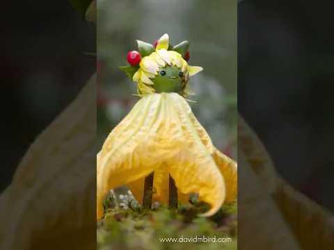 Becorns - Lady Gourdelia #Video