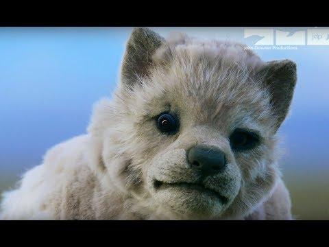 Robotic Wolf Cub Gets Taken By Mother Wolf Video