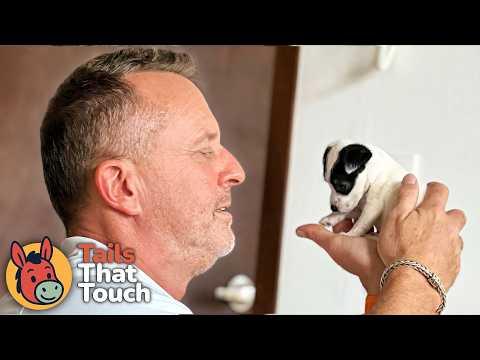 He Never Wanted a Dog… Until He Saved Her In Mexico #Video