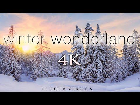 11 Hours of 4K Winter Wonderland Video + Calming Hang Drum Music for Relaxation, Stress Relief [UHD]