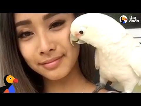 Rescue Cockatoo Loves Sunbathing and Dancing With Mom