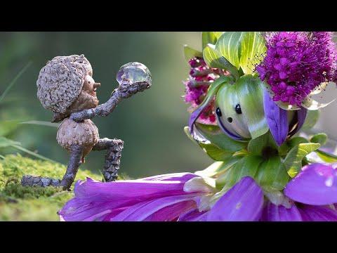 Building with Flowers is Hard - Becorns Episode 5 #Video