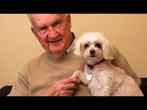 When Your Dogs Realize Grandma’s House Is Basically Paradise #Video