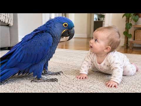 This Talking Parrot Found the Cutest Little Best Friend #Video