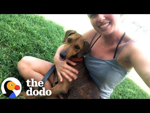 Stray Kept Chasing Her — So She Promised to Find Her a Home #Video