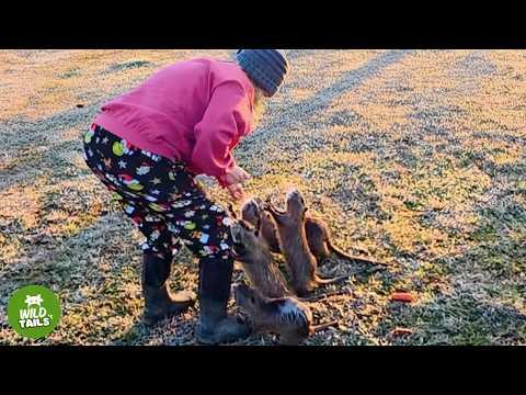 These Wild Nutria Were Supposed To Be 'Destructive' — But A Whole Family Runs To See Me #Video