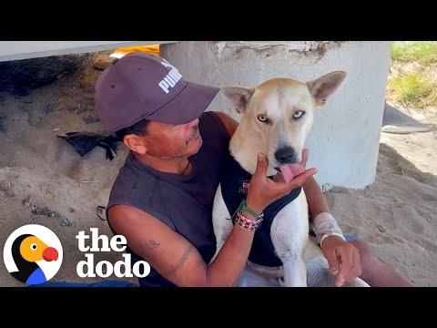 Sometimes Saying Goodbye Is The Greatest Act Of Love #Video