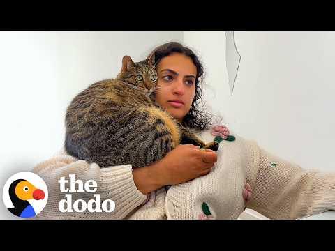 Cat Siblings Are Velcroed To Mom The Second She Wakes Up #Video