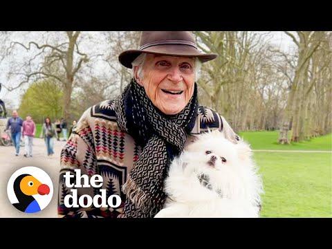 87-Year Old Man Pampers His Dog Like A Princess  #Video