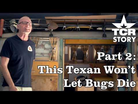 Gary Has 15 Vintage VWs and Named Them All | Part 2: The Volkswagen Enthusiast #Video