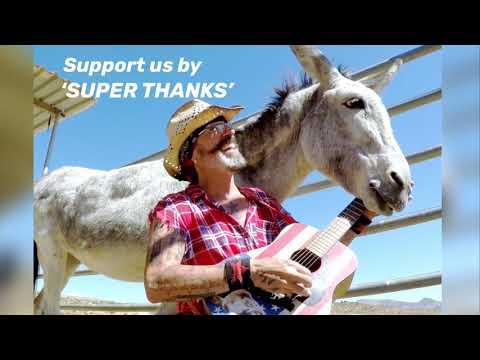 Hazel the Donkey playing the guitar #Video