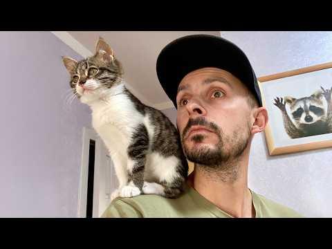 When You Asked for a CAT, but You Got a Heart Healer #Video