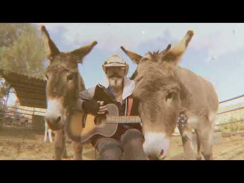 Stuck in the middle of three donkeys #Video
