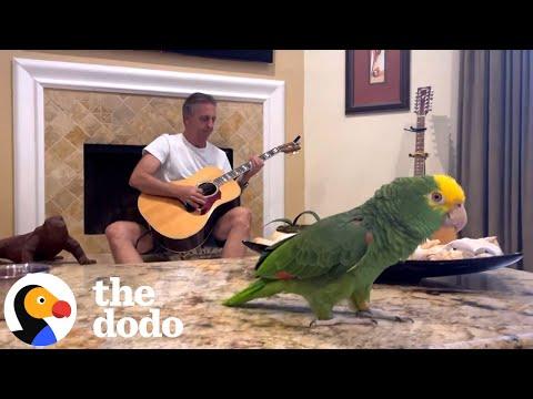 Bird Hated His Dad Until They Started Playing Music Together #Video
