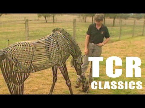 Horse Sculptures (Texas Country Reporter Video)