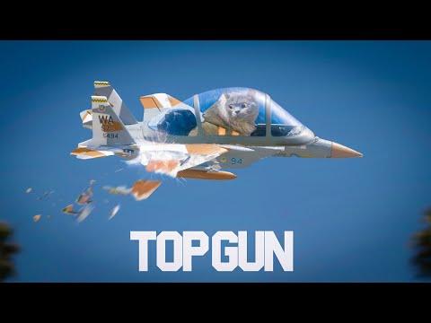 Top Gun with Cats. AaronsAnimals #Video
