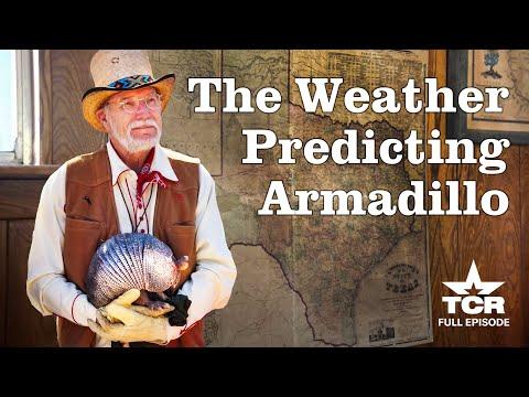 Bee Cave Bob, The Weather-Predicting Armadillo & Other Texas Legends